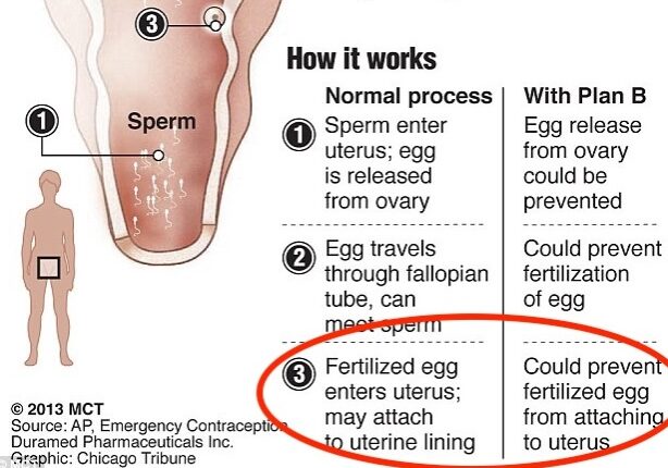 article-2318111-19904B2B000005DC-137_634x920 copy article-2318111-19904B2B000005DC-137_634x920 copy